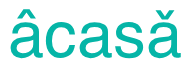 acasa Logo